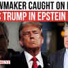 Article image for: Shocking Leak: Republican U.S. Rep. Mike Collins Caught Saying Trump’s Name Is in Epstein Files!