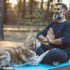 Supports pet mental and physical health
