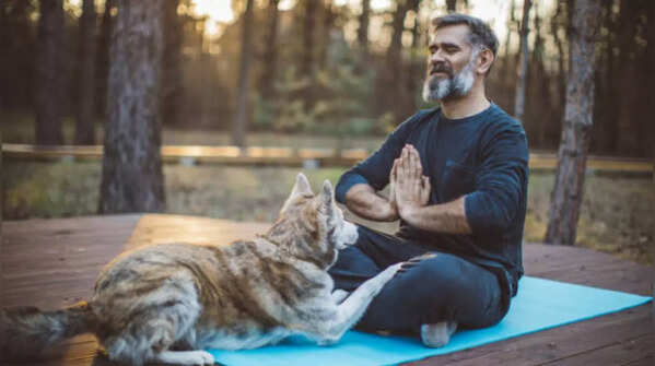 Supports pet mental and physical health