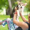 Physical movement in the form of fun