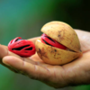 Supports heart health