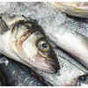 Improperly stored seafood