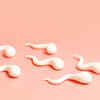 Ultra-processed foods are polluted with endocrine disruptors
