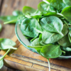 Spinach - colour that fades