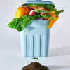 Trash cans (bins & lids)