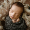 Theodore