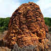 Termite mounds