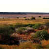Great Victoria Desert, Australia