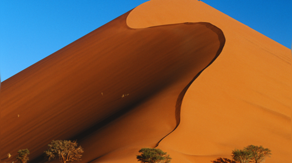 Namib Desert, Namibia