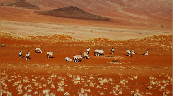 5 world’s most beautiful deserts that aren’t the Sahara