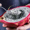 ​Dragon fruit and hydration support
