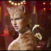 'Cats'