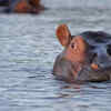 Protected in water