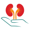 Foods that harm the kidneys