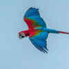 A reminder to cherish wildlife