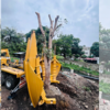 Nagpur’s push for green development