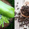 Bottle gourd and black pepper