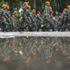 Cost of protest looms