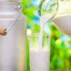 Nutritional value of drinking raw milk?