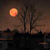 A red Moon means danger