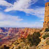 Cultural and historical importance