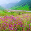Valley of Flowers, Uttarakhand