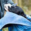 Keep your pet dry and clean