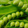 Beans and peas - small but seriously powerful