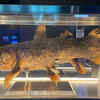 Features similar to four-Limbed creatures