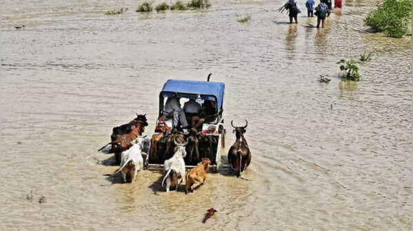 Severe waterlogging in markets