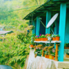 Mirik