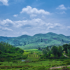 Paderu