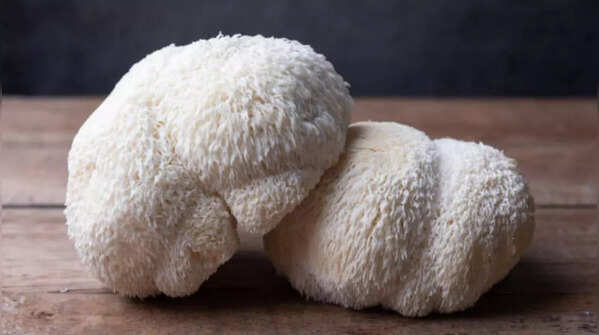 What kind of mushrooms?