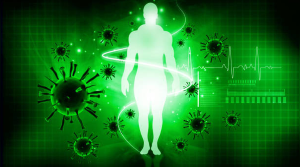 Builds quiet immunity