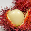 Rambutan