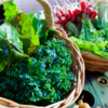 Leafy Greens: Longevity on your plate