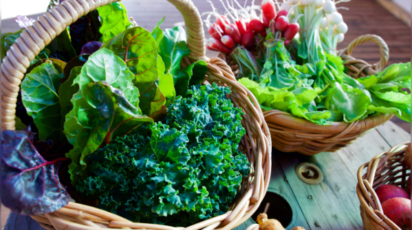 Leafy Greens: Longevity on your plate
