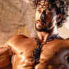 Martial arts mastery