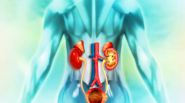 Bladder dysfunction