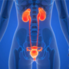 Bladder health in men