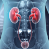 Bladder health in women