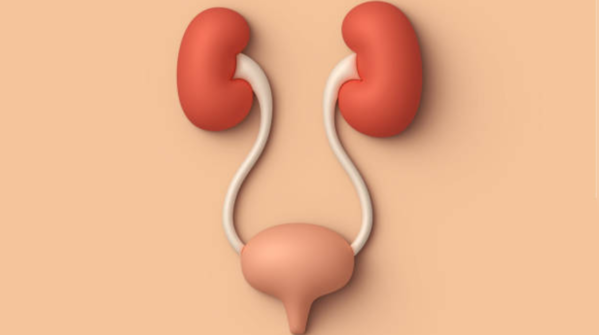Know your bladder
