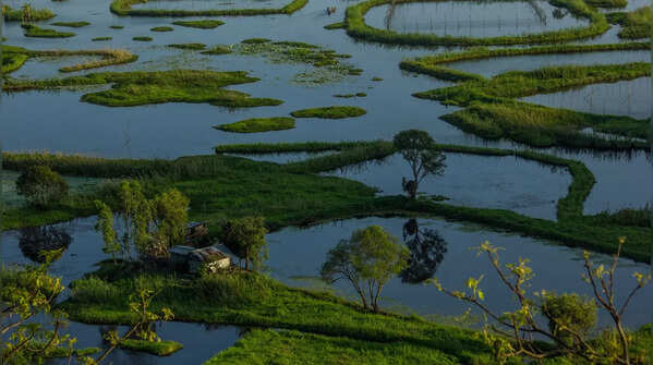 Live on a floating village in Loktak Lake in Manipur