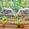 Botanical Garden