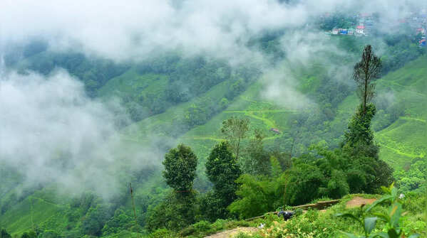 From monasteries to eco gardens: Why Darjeeling is every traveller’s dream