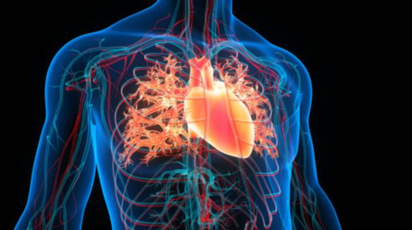 Common causes of heart failure