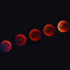 Lunar Eclipse 2025 Highlights: Beautiful Blood Moon seen during Chandra Grahan in Delhi on September 7-8