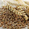 Carbs automatically lead to weight gain