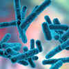 Everyone should take probiotics