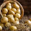 White potatoes are unhealthy